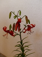 Foto: Dr. Peter Müller